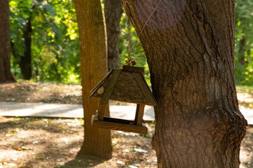 birdhouse in the park in summer, Minsk