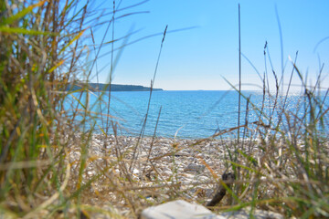 An expansive view of the ocean can be seen through tall grass