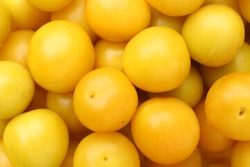 Many fresh plums as background, top view