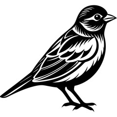 illustration of a bird vector illustration