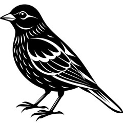 bird on a branch vector illustration