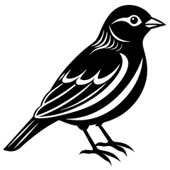 bird on white background