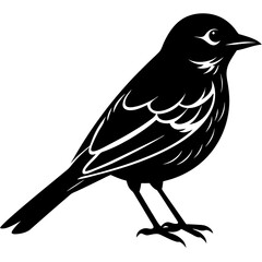 crow on a branch vector illustration