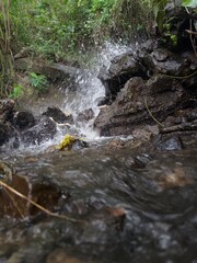 Aliran sungai di sawah