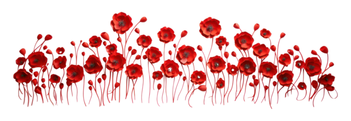 PNG Flower poppy petal plant.