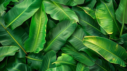 Vibrant green tropical leaves pattern lush foliage scene.