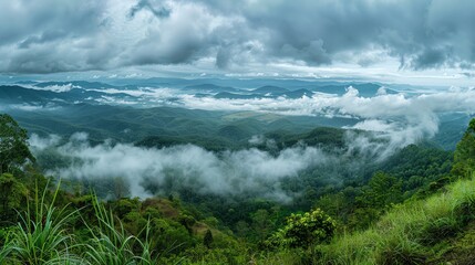 Obraz premium view of misty forest with blue sky
