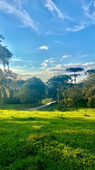 landscape with field and blue sky