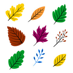 Fototapeta premium featuring eight different types of green leaves. Each leaf showcases unique shapes and vein patterns. graphic is simple, clean, and vibrant, ideal for nature-themed designs and eco-friendly projects