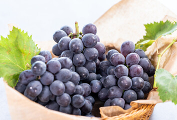 ぶどう　ブドウ　巨峰