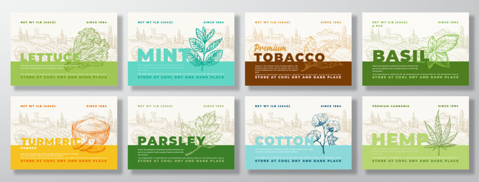 Vegetables Herbs Food Label Templates Set. Abstract Vector Packaging Design Layouts Collection. Modern Typography Banner with Hand Drawn Vegs and Rural Landscape Background Isolated