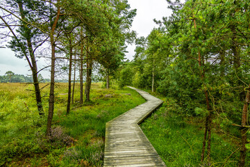 Ein herrliche Wanderung durch die einzigartige und farbenfrohe Landschaft der Osterheide - Bispingen - Niedersachsen - Deutschland