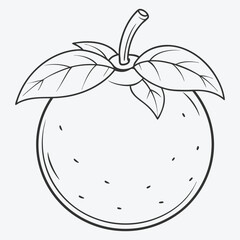 Mangosteen Line Art, A Masterpiece of Botanical Elegance