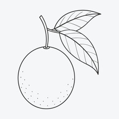 LONGAN LINE ART MASTERPIECE