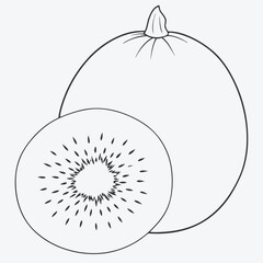 Elegant Kiwi Line Art for Modern Design