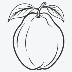 Exquisite Quince Line Art Collection, Elegant Botanical Illustrations