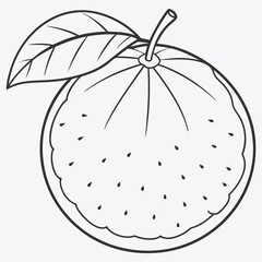 Elegant Ugli Fruit Line Art  Minimalist Drawing and Design