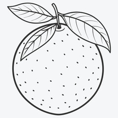 Elegant Yuzu Line Art Illustration