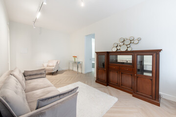 Classic Style Home Living Room Interior. Stylish Modern Apartment. Open Interior, Stylish Sofa, Couch, White Carpet, Wooden Chest of Drawers, Commode in Background. Armchair, Table, Vase and Flowers