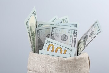 Dollar banknotes in bag against grey background, closeup