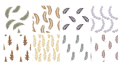 Set of seamless botanical geometric patterns on a white background for the design of wallpaper, fabric, cards.