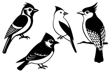 Set of 4 Birds Icon Elements - Tufted Titmouse