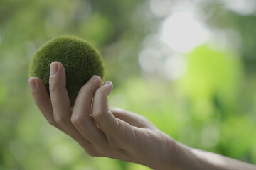 Efforts to prevent environmental pollution and global warming, renewable energy production by making recycling a part of our daily lives, green technology and environmental conservation concepts.