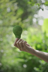 Efforts to prevent environmental pollution and global warming, renewable energy production by making recycling a part of our daily lives, green technology and environmental conservation concepts.