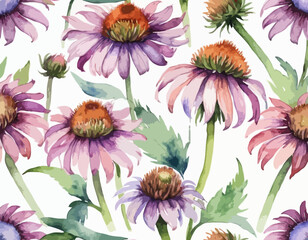  Flower echinacea on isolated white background. Wildflowers Watercolor botanical illustration. Violet floral design
