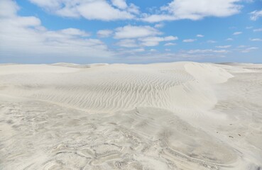 Baja California's Dunas de Soledad