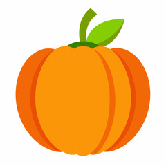 Pumpkin vector illustration 