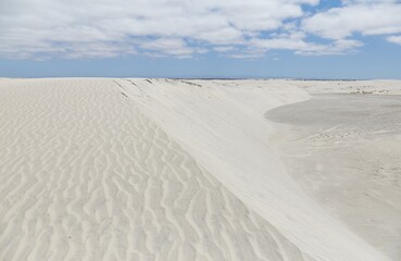 Baja California's Dunas de Soledad