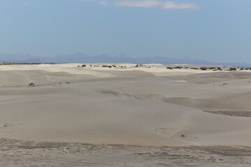 Baja California's Dunas de Soledad