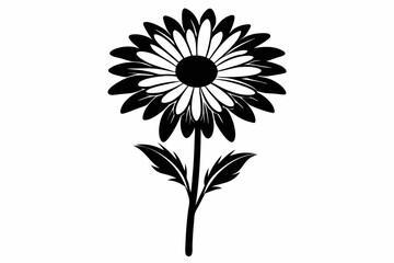 Realistic daisy flower vector design