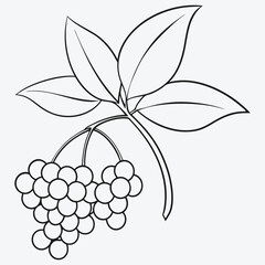 Stunning Elderberryline Art: Captivating Designs and Creative Inspirations