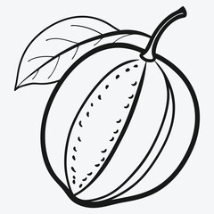 Babaco Line Art, Exquisite Illustrations of the Exotic Fruit