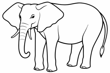 elephant line art vector illustration