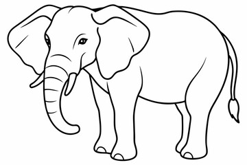 elephant line art vector illustration
