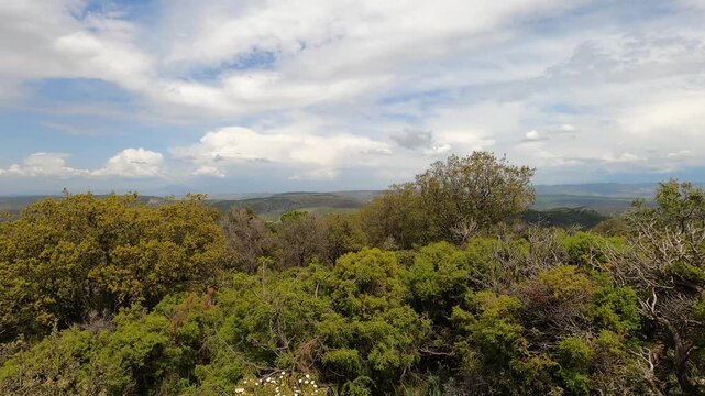 Wonderfull landscapes on hiking trail to Maroma peak from el Robledal, Sierra Tejeda, Spain 