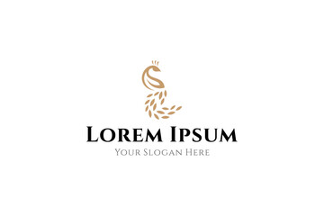 peacock logo with flat vector design