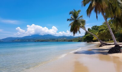 Obraz premium Idyllic Beach on a Tropical Island Overlooking the Sea