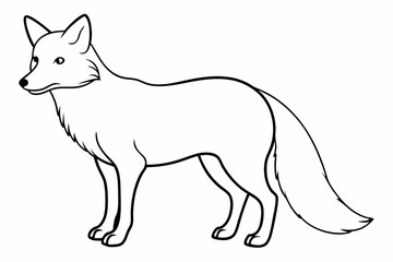 elephant line art vector illustration