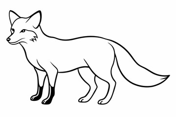 elephant line art vector illustration