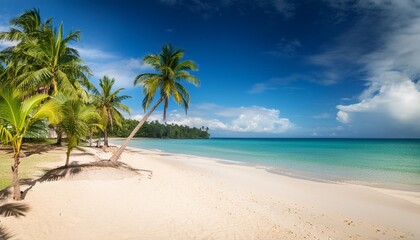Obraz premium tropical beach landscape, AI generated