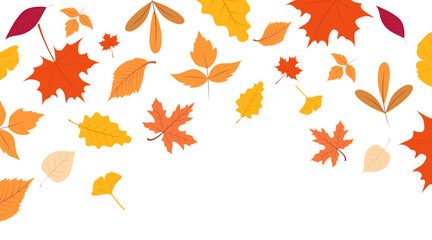 Autumn falling leaves. Yellow, brown, orange leaves flying on transparent vector background.