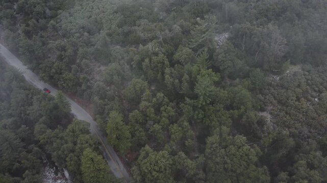 clouds in a mountain forest raod