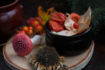 Autumn pumpkin harvest, autumn still life. Pumpkins in yellow foliage