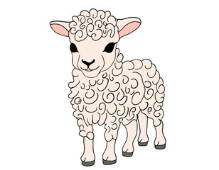 Illustration of cute sheep, farm animal, jesus, lamb