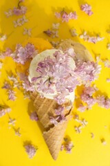 Ice cream lilac