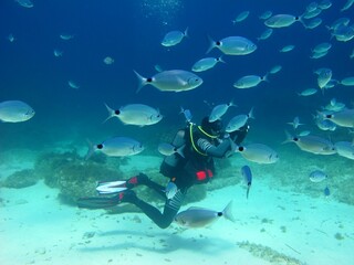 Underwater photographer swimming with big school of fish. Marine life in the ocean, scuba diver with underwater camera. Scuba dive with the aquatic wildlife. Fish and diver, travel photo. 